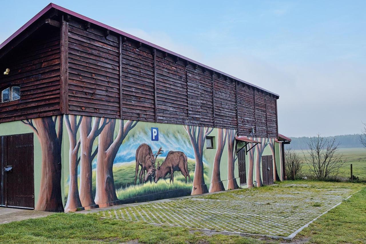 Gospodarstwo Agroturystyczne Antoniewo Villa Exterior foto